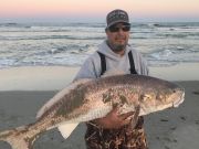 TW’s Bait & Tackle, Daily Fishing Report