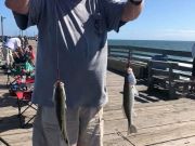 TW’s Bait & Tackle, Daily Fishing Report