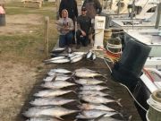 TW’s Bait & Tackle, Daily Fishing Report