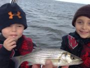 TW’s Bait & Tackle, TW's Daily fishing Report. 12/30/15