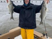 Oceans East Bait & Tackle Nags Head, Stripers are biting