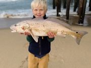 TW’s Bait & Tackle, Daily Fishing Report