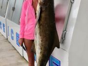 TW’s Bait & Tackle, Daily Fishing Report