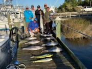 Pirate's Cove Marina, Tunas and Wahoo, OH MY!