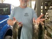 TW’s Bait & Tackle, TW's Daily Fishing Report