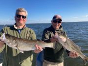 Pirate's Cove Marina, Sunday Stripers!