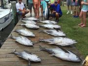 TW’s Bait & Tackle, Daily fishing Report