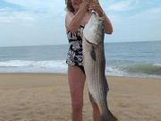 TW’s Bait & Tackle, Daily Fishing Report