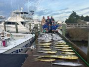 Pirate's Cove Marina, November Fishing is Here!