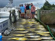 Pirate's Cove Marina, Tuesday Tails!