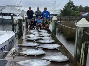 Pirate's Cove Marina, Boxes Full!