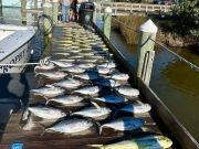 Pirate's Cove Marina, We’re So Back!