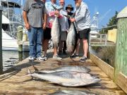 Pirate's Cove Marina, Monday’s Catch!