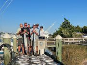 Pirate's Cove Marina, Wednesday’s Catch!