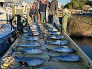 Pirate's Cove Marina, Did Somebody Say Tuna?