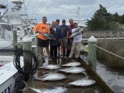 Pirate's Cove Marina, Testing Tuesday!