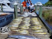 Pirate's Cove Marina, Salty Dogs