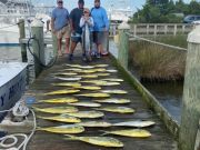 Pirate's Cove Marina, Sunday Funday!