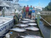 Pirate's Cove Marina, Salty Sunday