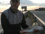 TW’s Bait & Tackle, Daily Fishing Report