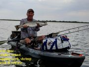 TW’s Bait & Tackle, TW's Daily Fishing Report