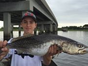 TW’s Bait & Tackle, Daily fishing Report.