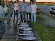 TW’s Bait & Tackle, TW's Daily fishing Report. 12/29/15