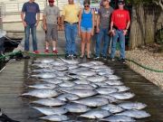 Pirate's Cove Marina, Tuna Time!