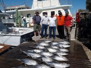 Pirate's Cove Marina, Great Fishing Day!