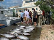 Pirate's Cove Marina, Salty Saturday