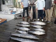 Pirate's Cove Marina, Wahoo!!!  Meat Slams Everywhere!!