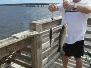 TW’s Bait & Tackle, Daily Fishing Report