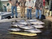 Pirate's Cove Marina, Blackfin, Yellowfin, Mahi