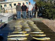 Pirate's Cove Marina, Mahi Monday