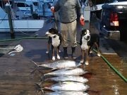 TW’s Bait & Tackle, Daily Fishing Report