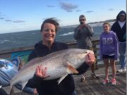 TW’s Bait & Tackle, Daily Fishing Report