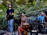 Fish Heads Bar & Grill, The Walking Dolphins