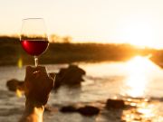 TRiO Restaurant & Market, Wine Tasting: The Odyssey Tasting