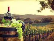 TRiO Restaurant & Market, The Wines of Northern Italy