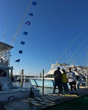 Oregon Inlet Fishing Center, Flyin' Flags and Hookin' Mahi