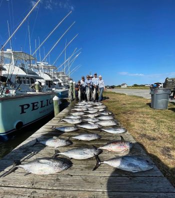 Oregon inlet sales fishing report