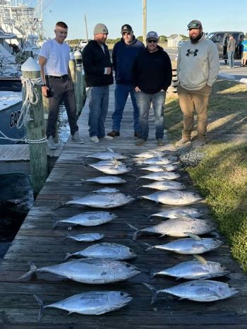 True Grit Sportfishing, Sunday's Haul