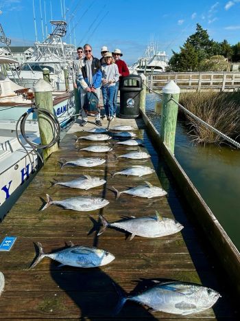 Pirate's Cove Marina, Salty Saturday
