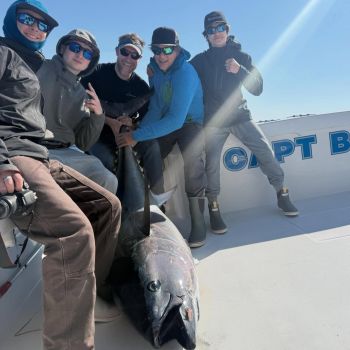 TW’s Bait & Tackle, Catchin' Bluefins