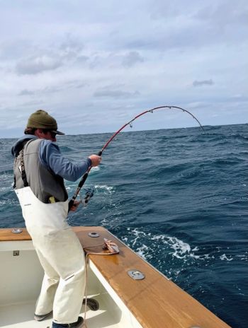 Oregon Inlet Fishing Center, Bluefin to be Caught!