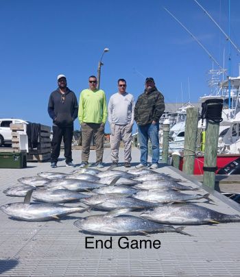 Oregon Inlet Fishing Center, They're Back in Town