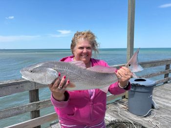 Fishing Unlimited Outer Banks Boat Rentals, Good Catches of Sea Mullet