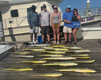 Country Girl Charters, Gaffer Dolphin are Starting to Make a Good Showing