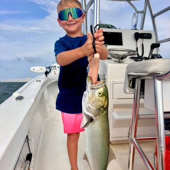 TW’s Bait & Tackle, Mid-July Update