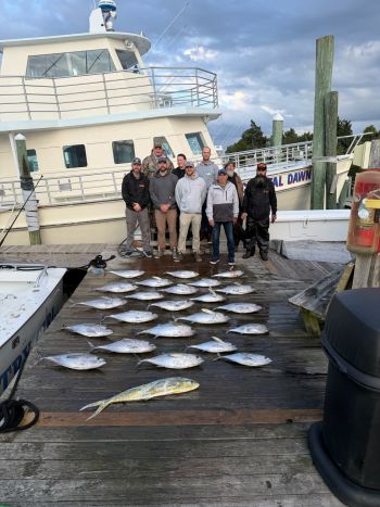 Pirate's Cove Marina, Salty Saturday!